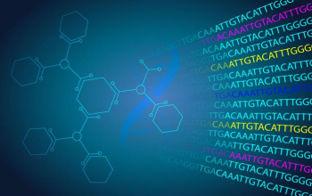 Bioinformatics Internship in Bioxplora the best life science training institute in coimbatore