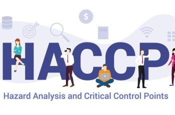 haccp hazard analysis and critical control points concept with big word or text and team people with modern flat style - vector illustration